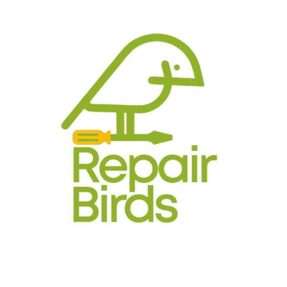Repairbirds Nigeria picture